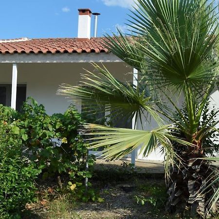 Litochoro Apartment In Estate A1 Zewnętrze zdjęcie