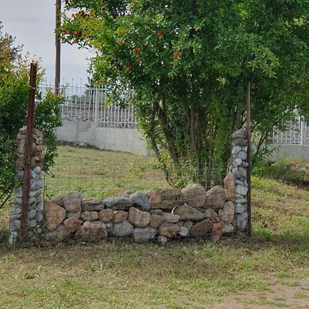 Litochoro Apartment In Estate A1 Zewnętrze zdjęcie