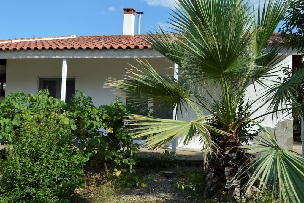Litochoro Apartment In Estate A1 Zewnętrze zdjęcie