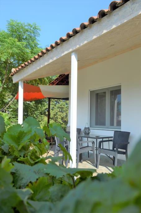 Litochoro Apartment In Estate A1 Zewnętrze zdjęcie