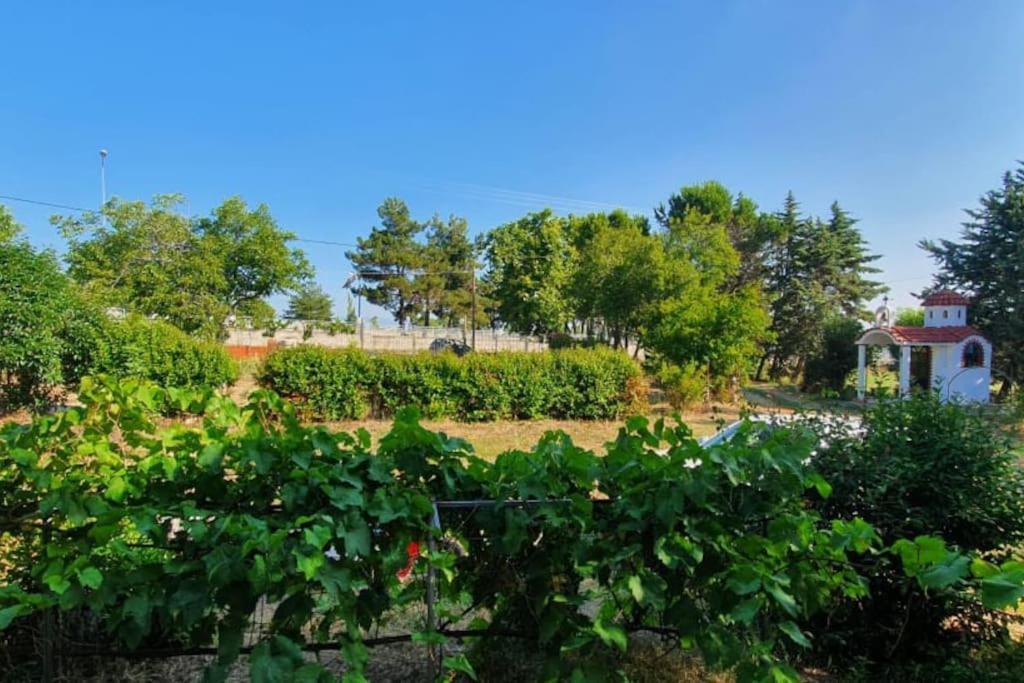 Litochoro Apartment In Estate A1 Zewnętrze zdjęcie
